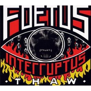 foetus-thaw-cd-cover